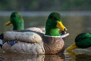 floater mallard duck decoy