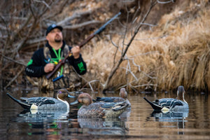 Floater pintail duck decoys