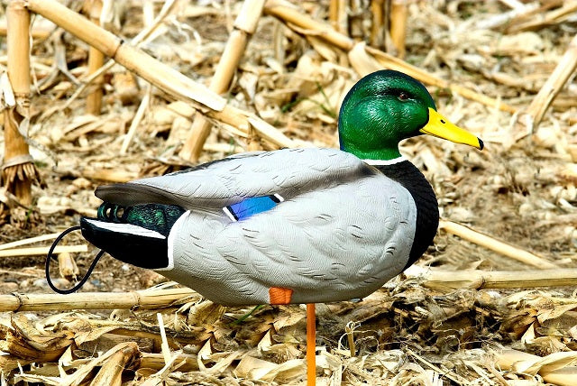 SX Full Body Mallards