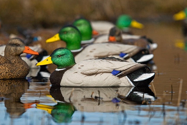 SX Floater Duck Decoys