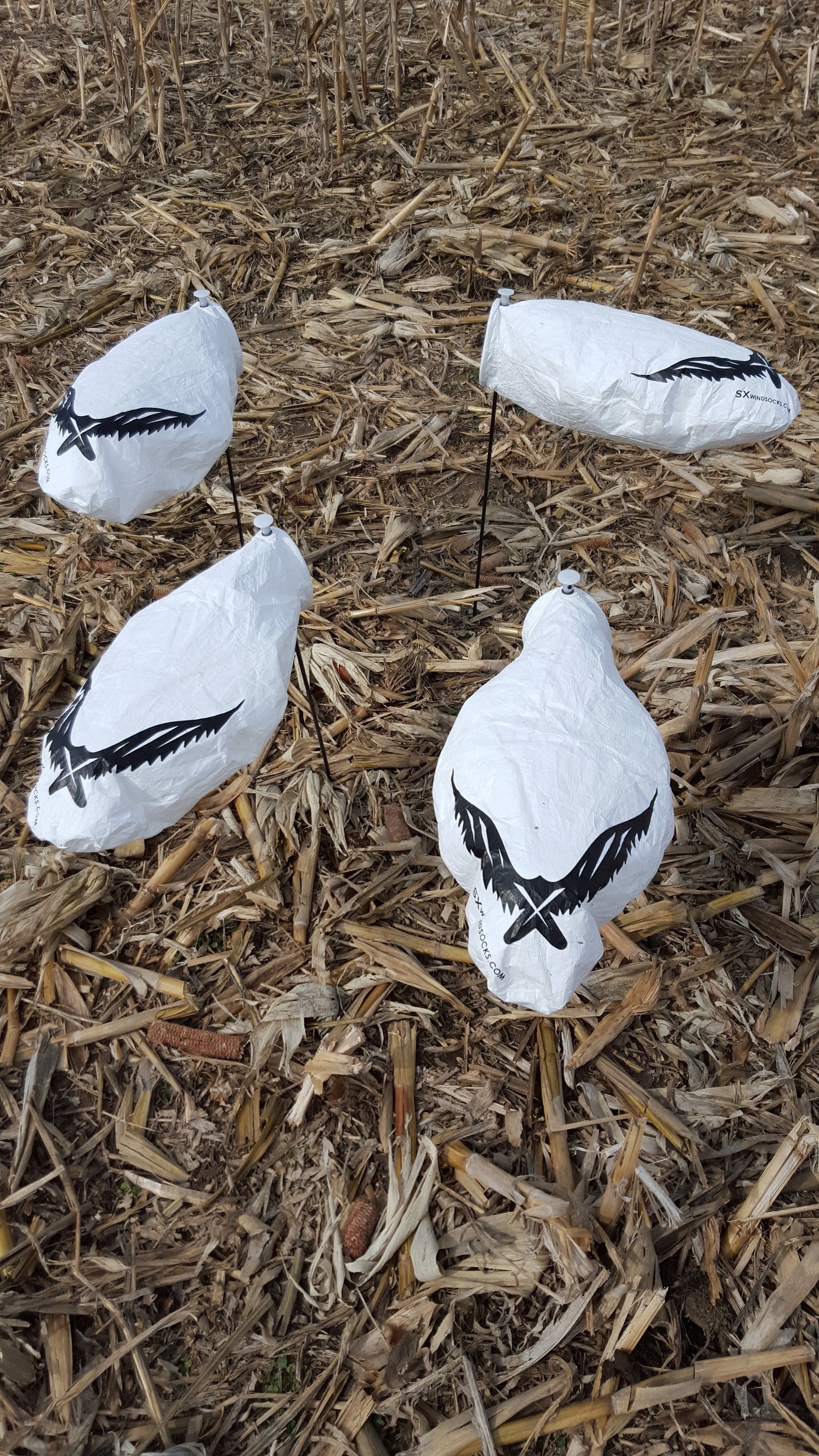 Snow Goose Windsocks