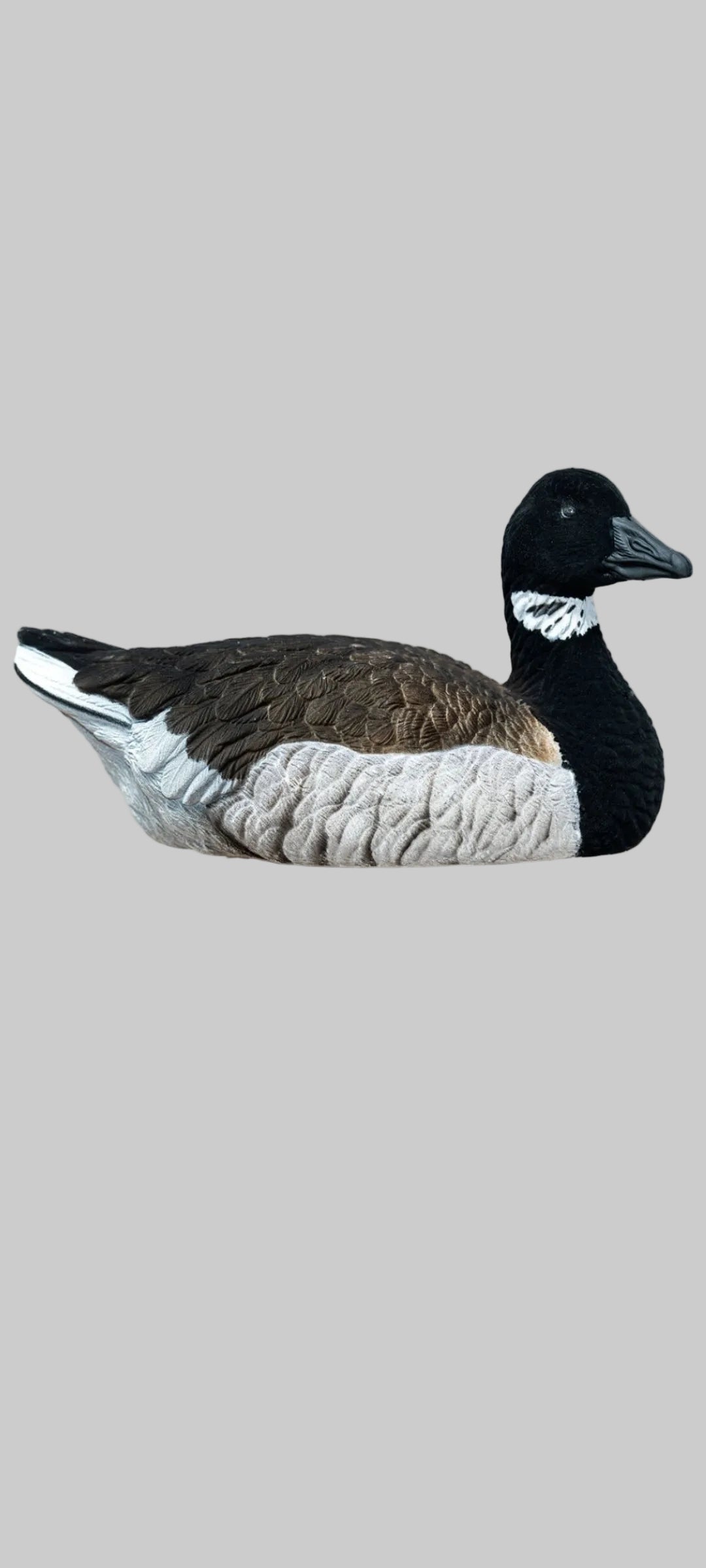 SX Decoy Brant Goose Flocked