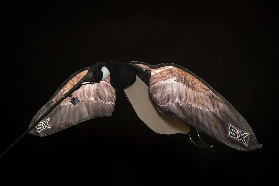 SX Canada goose flyers