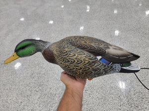 SX FULL Body Mallard Duck Decoy Painted