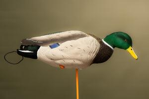 SX FULL BODY Mallard Duck Decoys (FULLY FLOCKED)