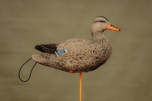 SX FULL BODY Mallard Duck Decoys (FULLY FLOCKED)
