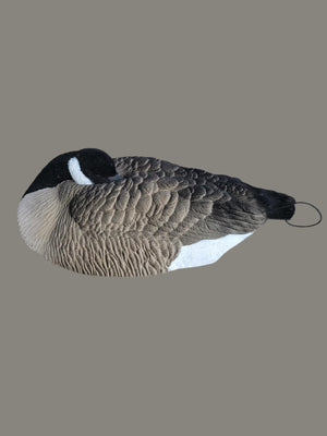 Flocked canada goose sleeper shell decoy