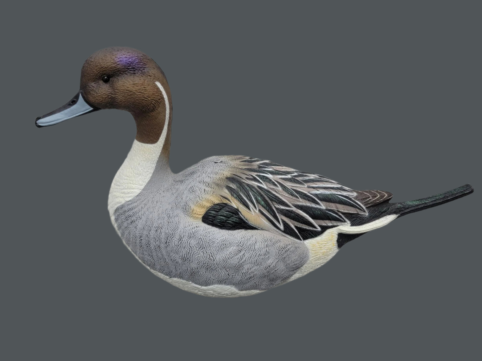 sx full body pintail duck decoy