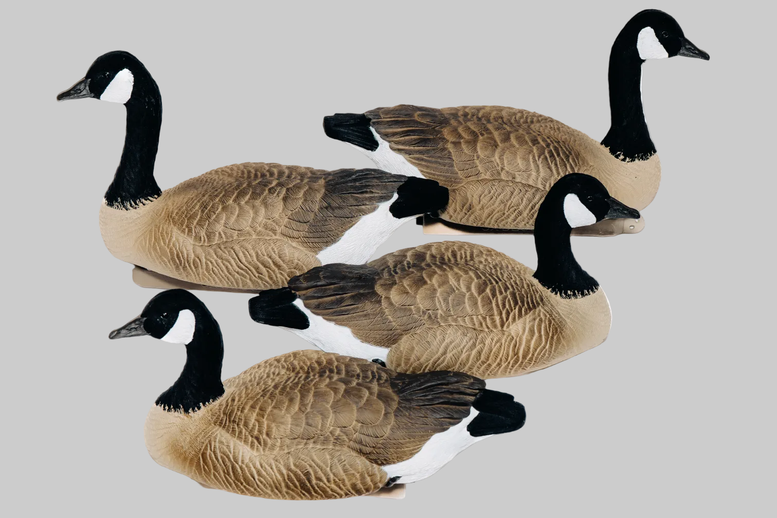 Life Size Floater Canada Goose Decoys
