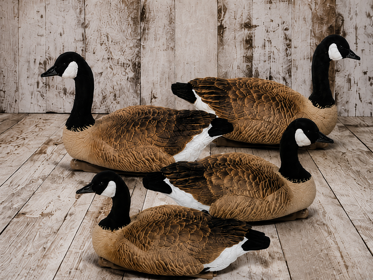 Life Size Floater Canada Goose Decoys
