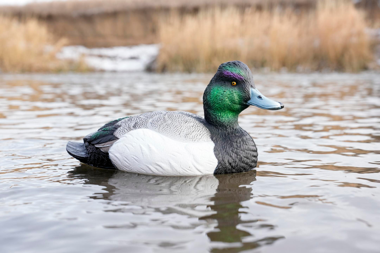 SX bluebill duck decoys