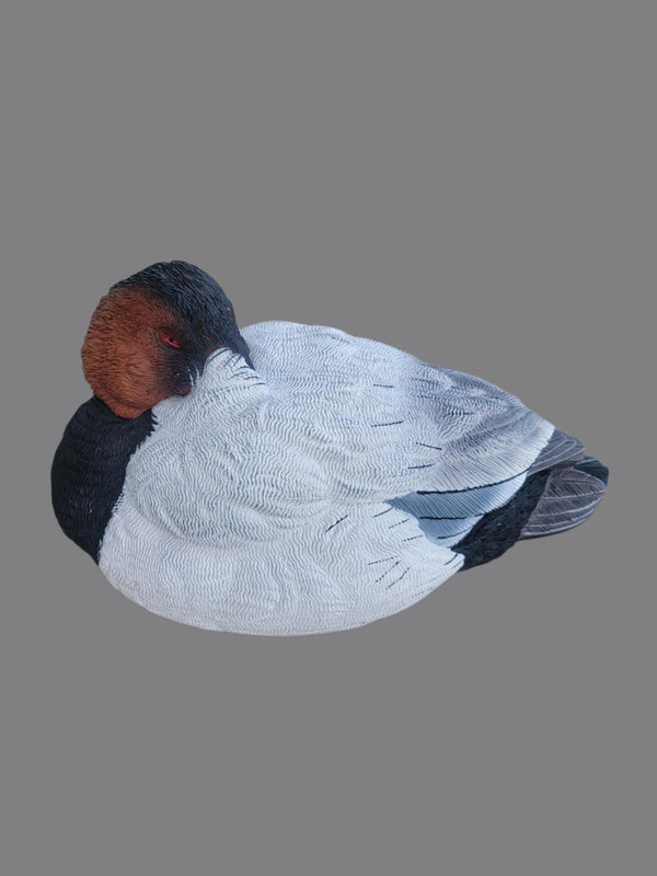 SX Canvasback Duck Decoys - SX Decoys