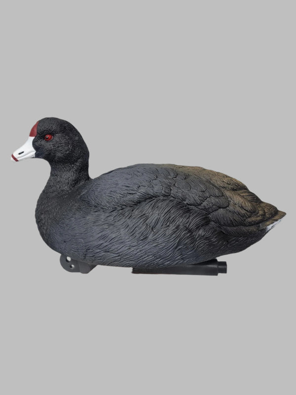 SX Floater Coot Duck Decoy - SX Decoys