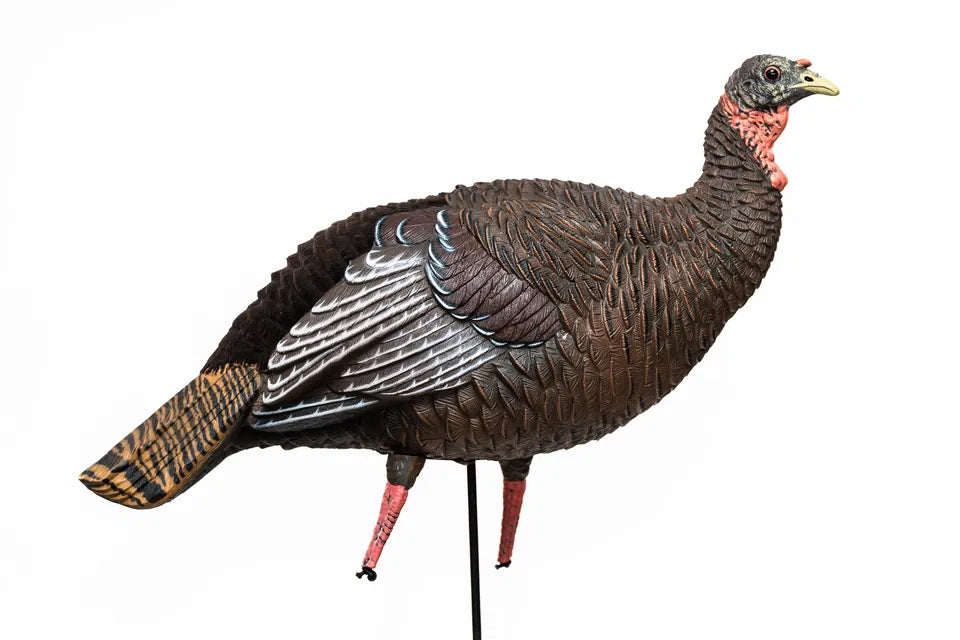 SX Fullbody Turkey Decoys - SX Decoys