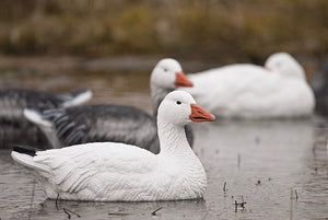 Damaged Decoy Boxes Sale!!