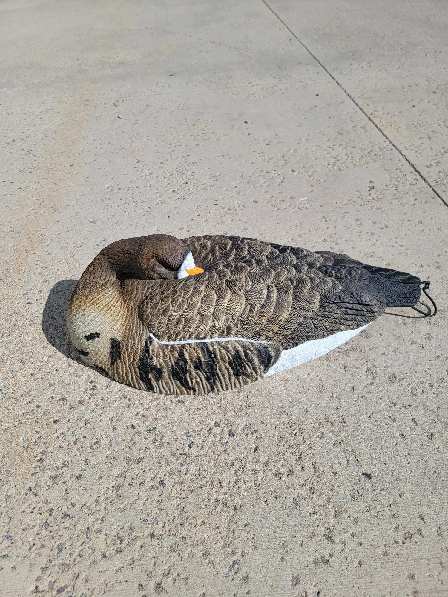Damaged Decoy Boxes Sale!!