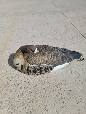 Damaged Decoy Boxes Sale!!