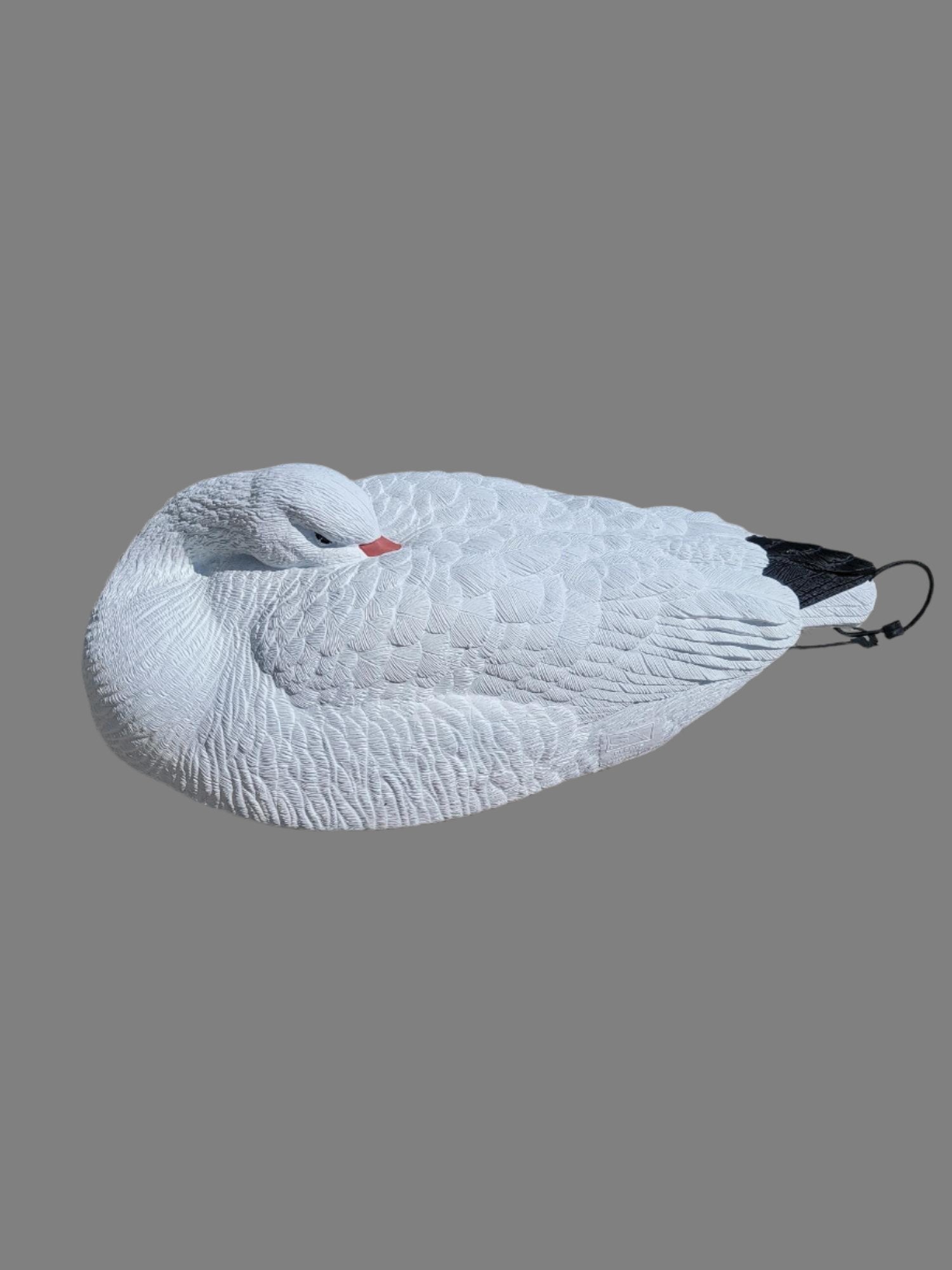 adult snow goose sleeper shell decoy