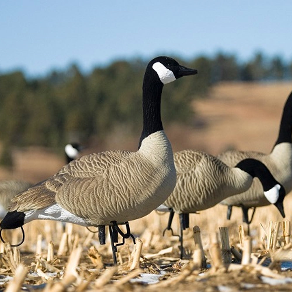 SX Decoys