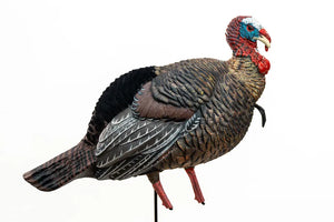 SX Jake Turkey Decoy