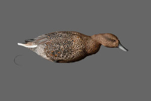 SX full body pintail duck decoys
