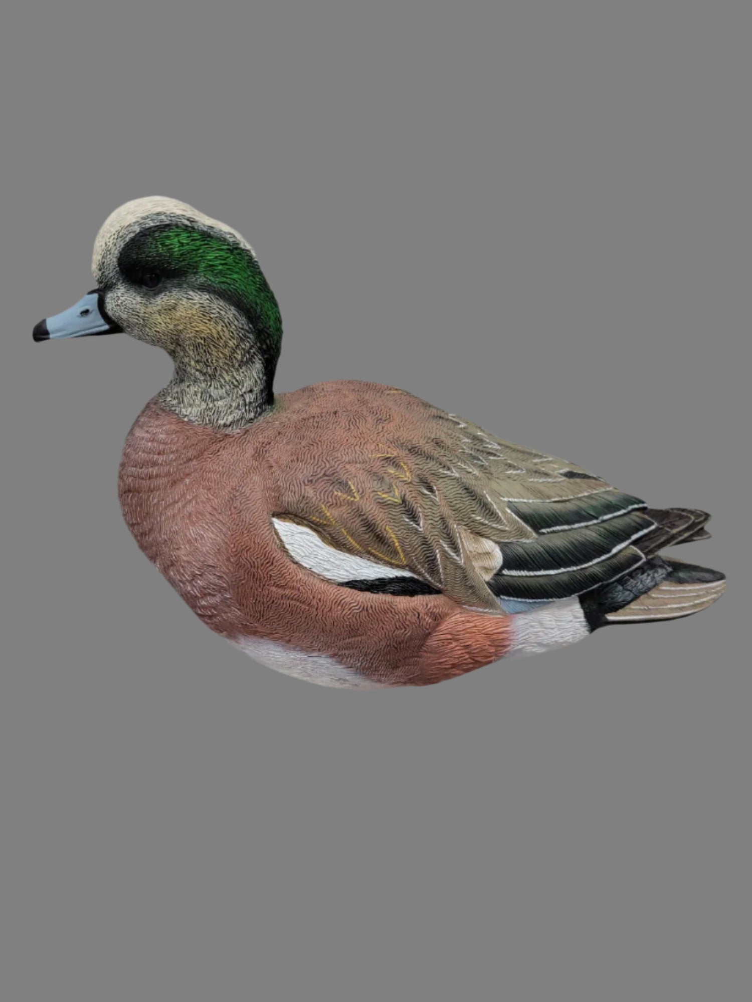 sx Fully flocked wigeon full body duck decoy