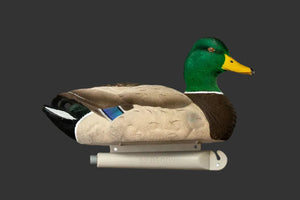 SX fully flocked mallard duck decoys