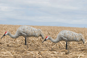 feeder sandhill crane decoys