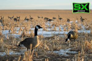 SX decoy flocking kits