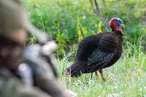 flocked jake turkey decoy