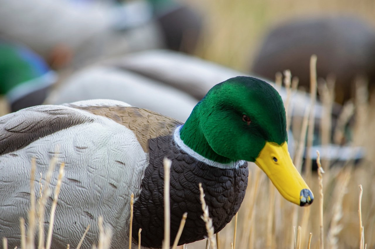 Decoy flocking kits