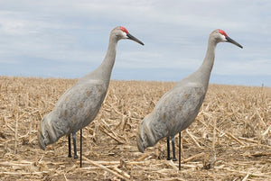 Flocked upright sandhill crane decoys