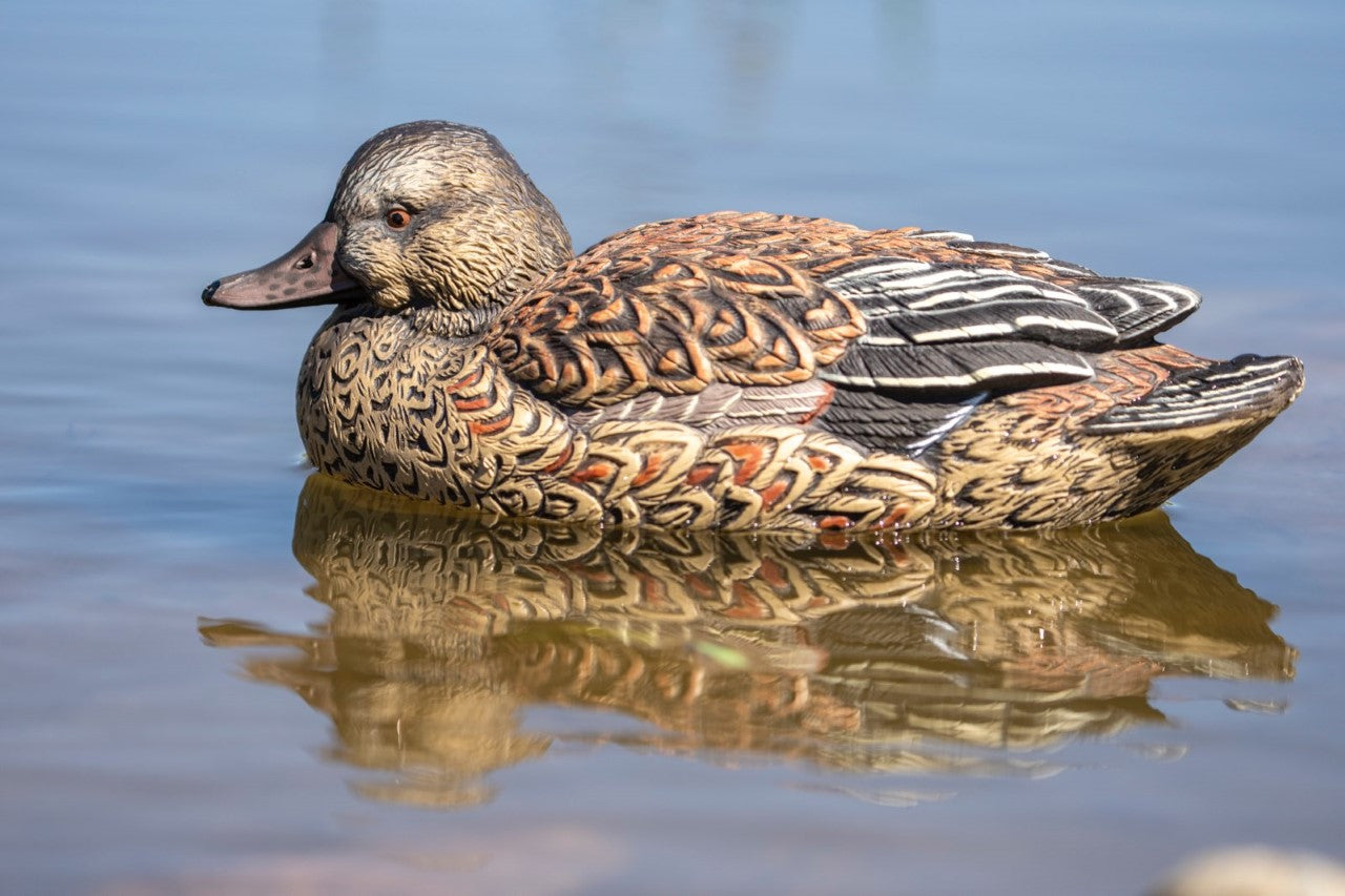 SX Cinnamon teal decoys