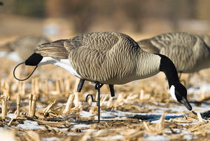 painted full body canada goose feeder decoy