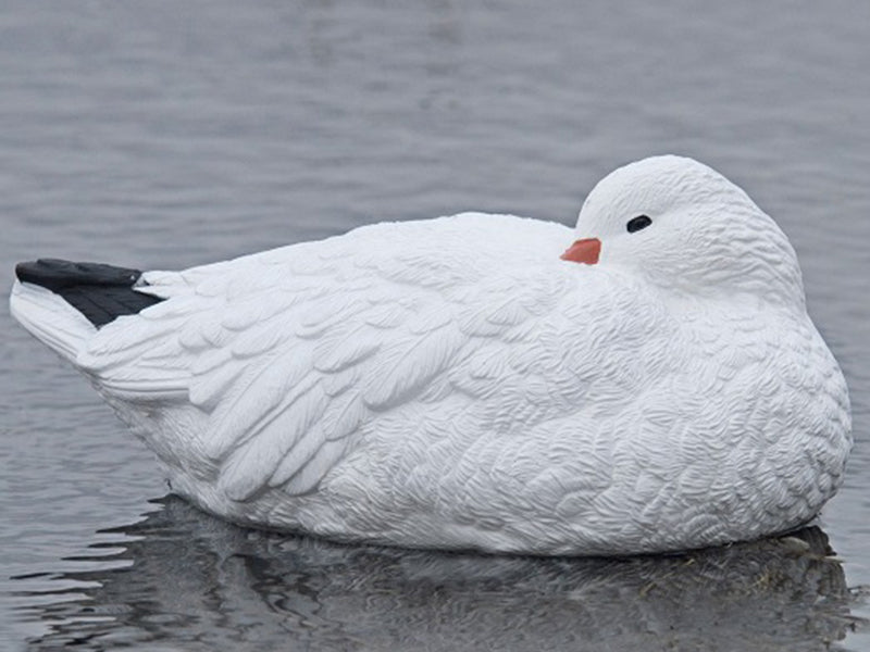 Floater sleeper snow goose decoy