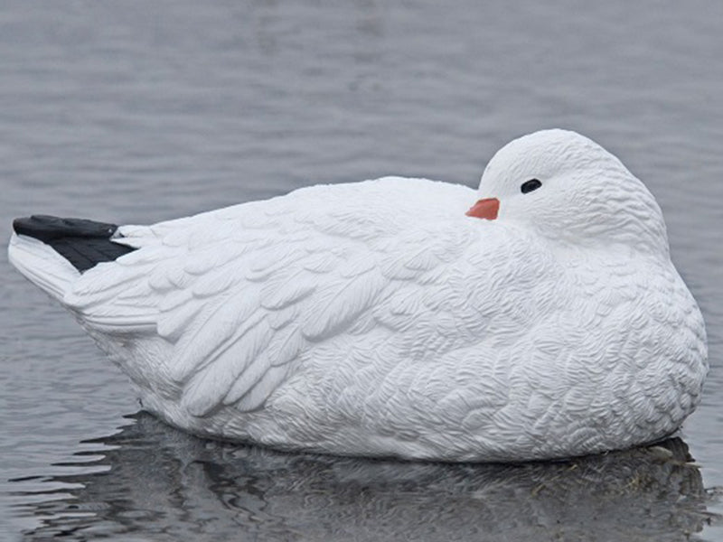 Snow Goose Decoys - SX Decoys