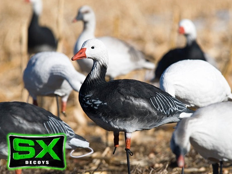 SX Snow Goose Full Body Decoys - SX Decoys