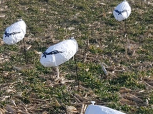 snow goose windsock decoys