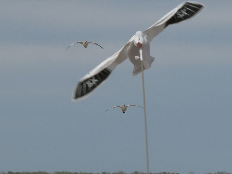 SX Snow Goose Flyer Active Pole Kit