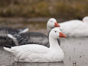 snow goose floater decoys Sentry