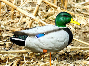sx full body painted mallard duck decoy