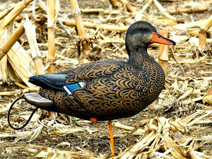 full body hen mallard duck decoy