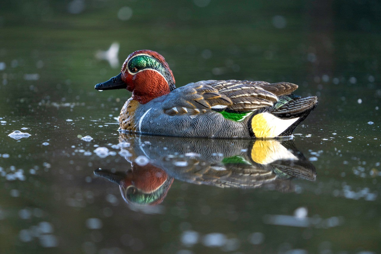 Sentry green winged teal decoys