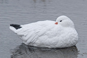 sleeper snow goose floater decoys
