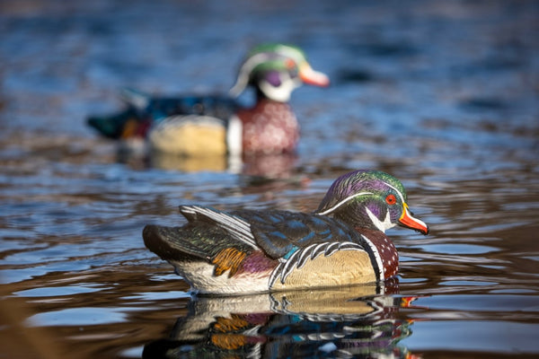 SX Floater Wood Duck Decoys - SX Decoys